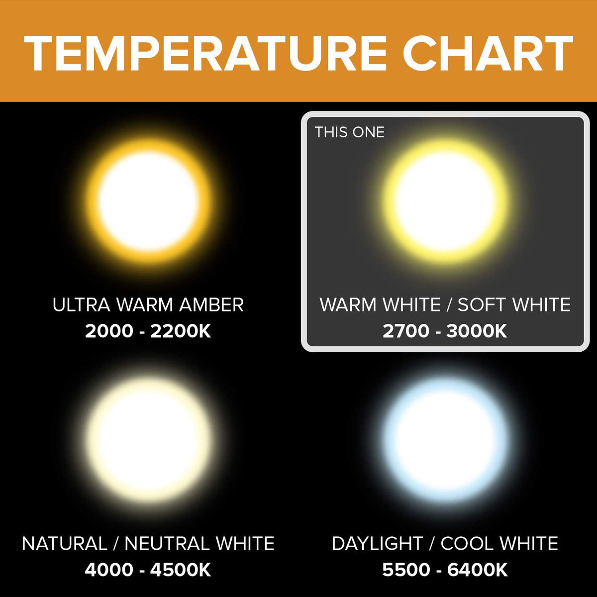 12Vmonster PAR20 energy-efficient bulb with long life