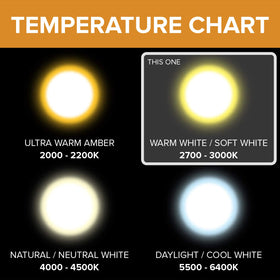 12Vmonster PAR20 energy-efficient bulb with long life