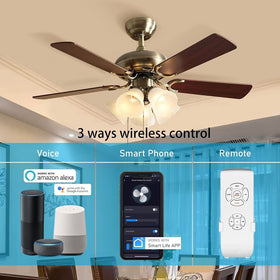 53T app control on Smart Life app for convenient ceiling fan and light management