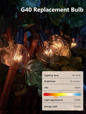 Abeja G40 25-pack of clear globes for quick lighting upgrades.