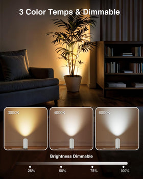Abovizo wall art up light emphasizes textures and colors.