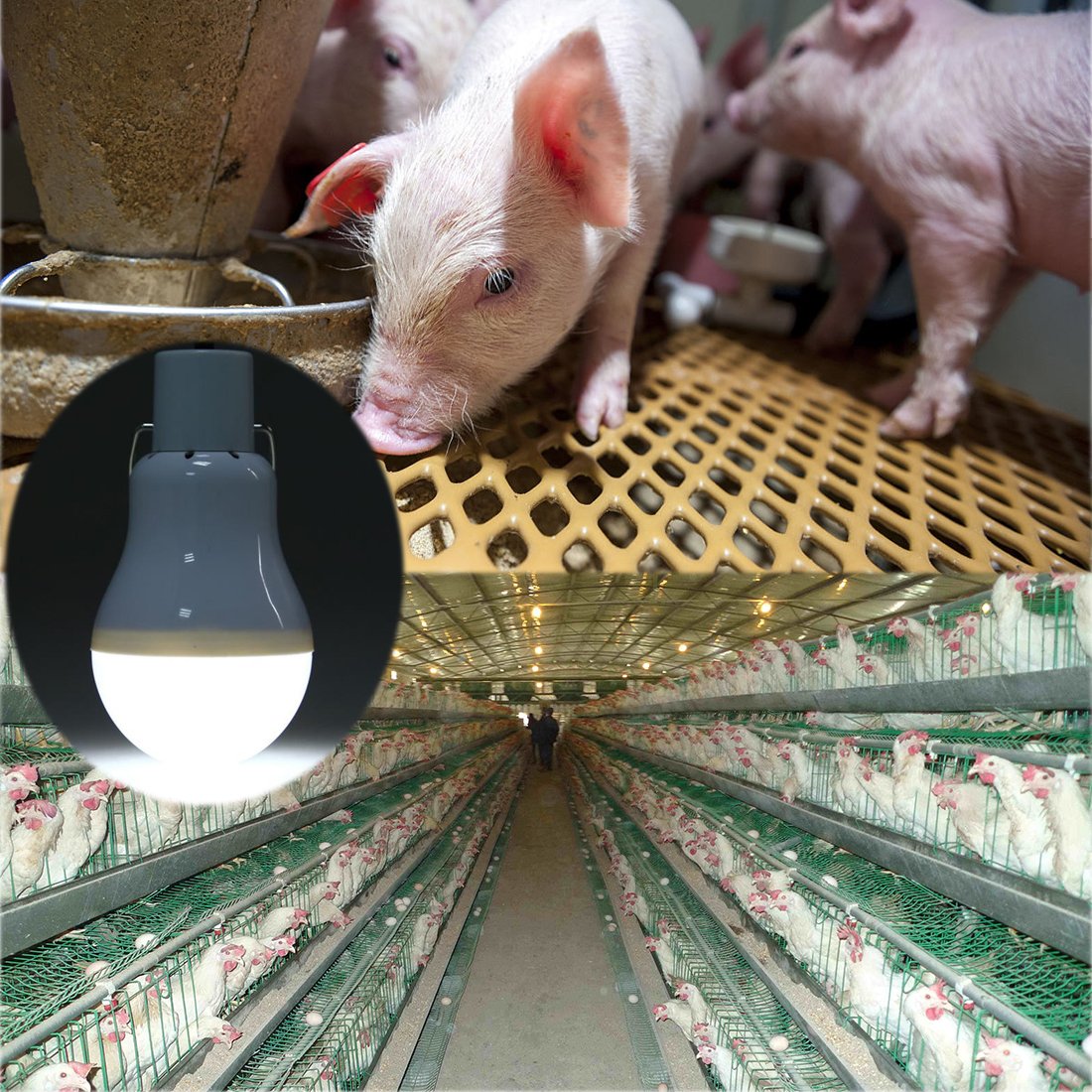 ABZXT Solar Powered Lamp pack-2 emergency use shot emphasizes quick, reliable illumination during blackouts