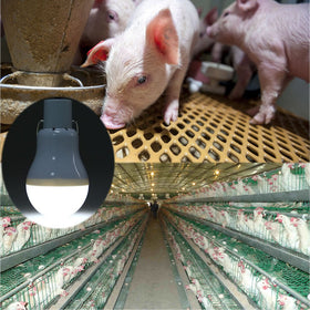 ABZXT Solar Powered Lamp pack-2 emergency use shot emphasizes quick, reliable illumination during blackouts