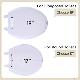Elongated seat hinges with covers for easy cleaning.