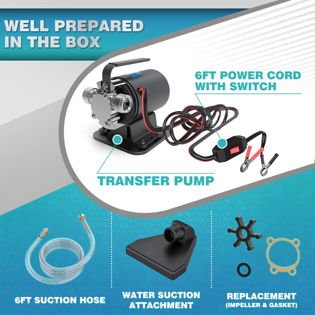 Acquaer pump with switch and hose kit for outdoor use