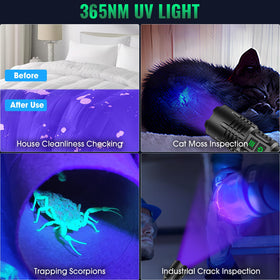 AdamStar 2-in-1 flashlight switches between UV and white light for versatility.