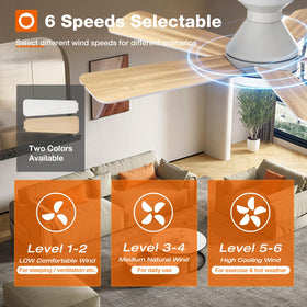 Reversible DC motor with six speeds for customizable comfort.