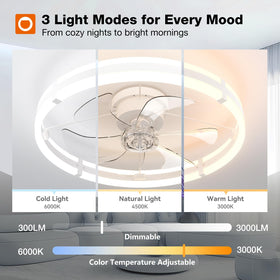 Dimmable LED light on Addlon fan with 3000-6000K range