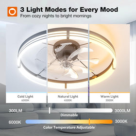 Addlon remote control and app for convenient fan and light settings