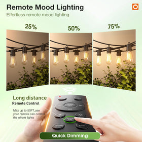 addlon timer-enabled outdoor lights provide automatic on/off for convenience.