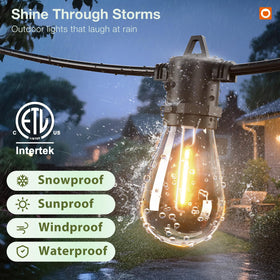 addlon waterproof connectable string lights withstand rain and extend coverage.