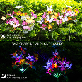 Adecorty 88-LED fairy lights create colorful garden ambiance at night.