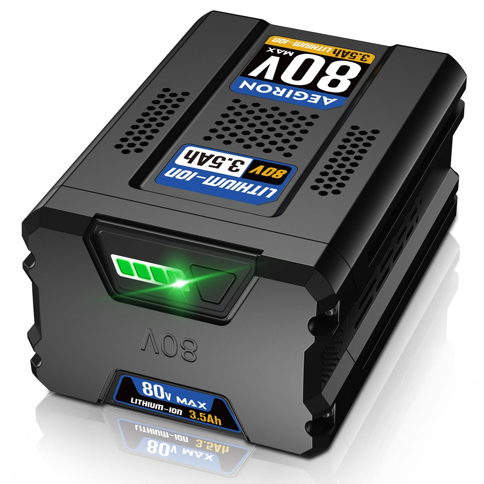 Aegiron 80V battery LED indicator shows charge at a glance.