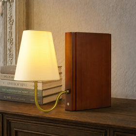 AELS wooden bookshelf lamp placed on a shelf adds warm ambiance and organization.