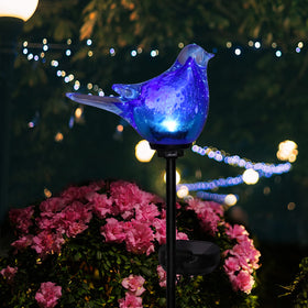 Afirst garden pathway illumination enhances evening strolls and borders.
