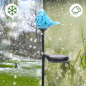 Afirst pathway bluebird solar light guides guests along the walkway at night.