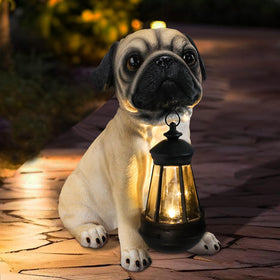 Afirst solar pug lantern provides ambient, eco-friendly illumination for patios and decks.
