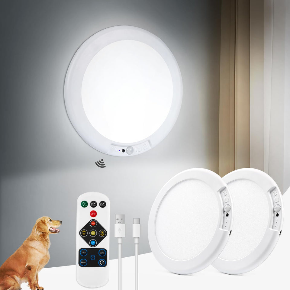 Aggforbl battery-powered ceiling light with remote for clutter-free installation.