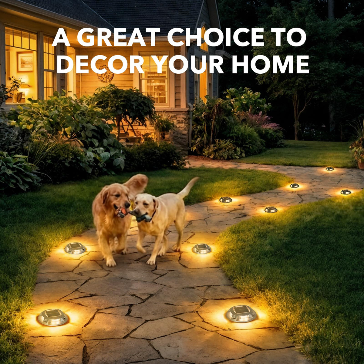 AGPTEK Solar Driveway Lights improve visibility on docks, driveways, and garden edges.