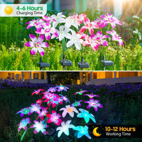 Ahaorigin adjustable stems allow customizable lily arrangements