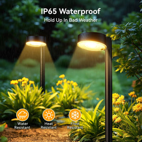 Ahaorigin solar pathway light with a spotlight lampshade highlights garden features.
