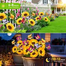 Ahaorigin sunflower lights illuminate garden paths with butterfly accents after sunset