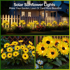 Ahaorigin sunflowers close-up showing detailed petals for vibrant garden decor