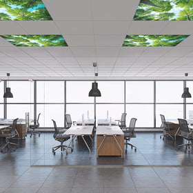 Aheroi light covers suit offices and hospitals for improved mood.
