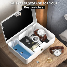 AICase biometric box demonstrates Morse-code access for options