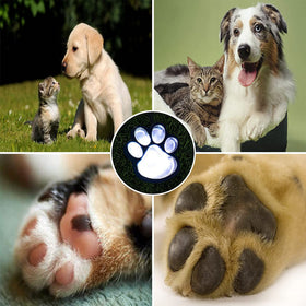 AIDDOMM cold white glow paw lights create inviting outdoor spaces for pets