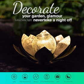 AIINY lotus globe solar light provides warm glow for garden paths.