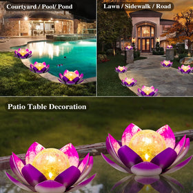 AIINY perfect gift for garden lovers or special occasions