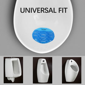 Ainneie urinal screens over drain cover preventing debris entry.