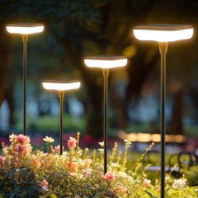 Ainostone solar lights outdoor pathway 8-pack guiding the walkway with warm glow