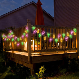 Aiyomt lights deliver night ambience with waterproof battery box