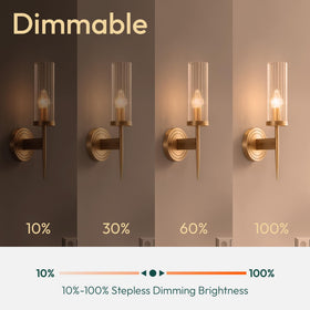 ALAMPEVER E26 dimmable LED bulb compatible with most dimmers for mood lighting.