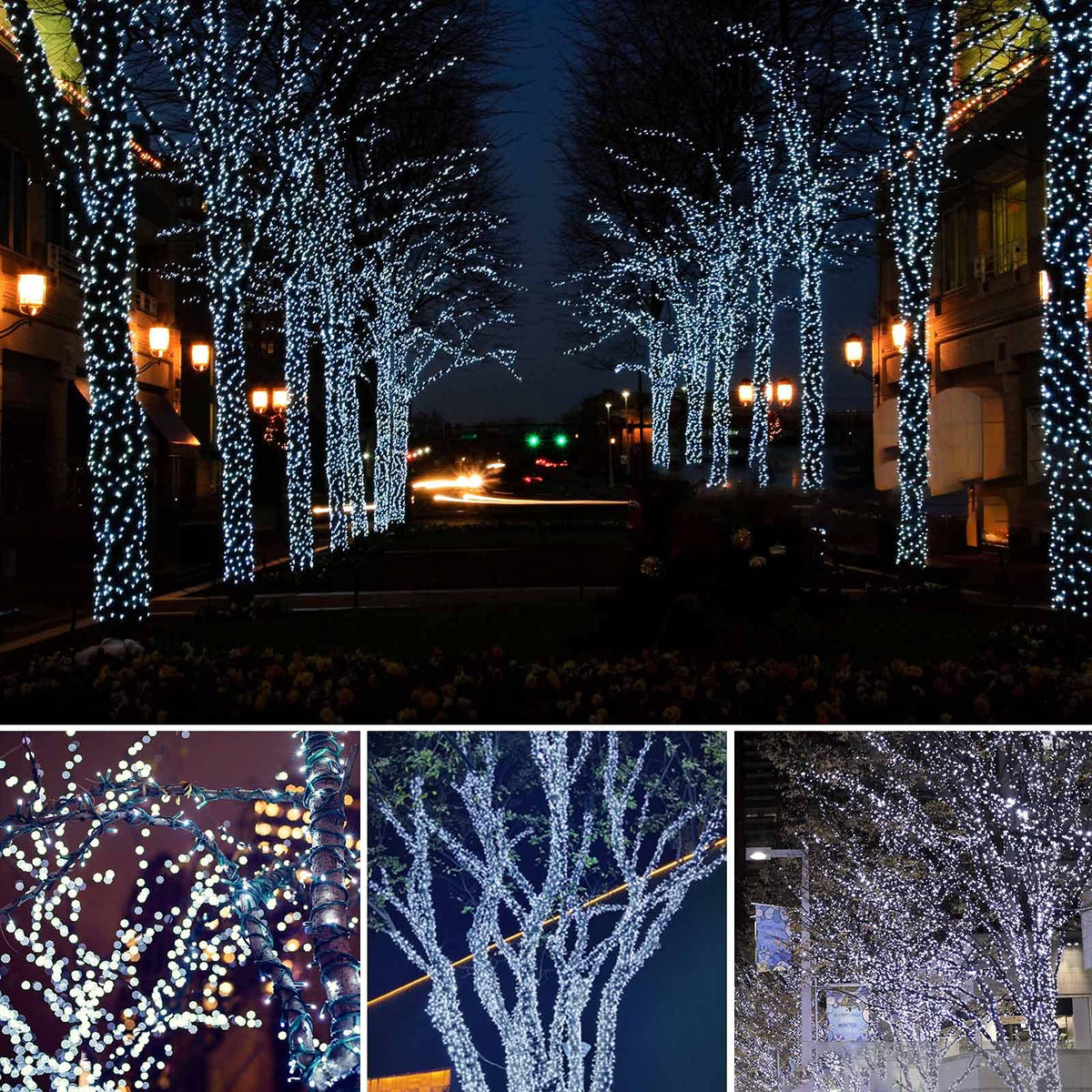 Albelt 480 LED solar lights for vivid, energy-efficient outdoor ambiance
