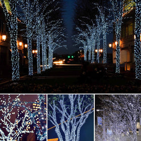 Albelt 480 LED solar lights for vivid, energy-efficient outdoor ambiance