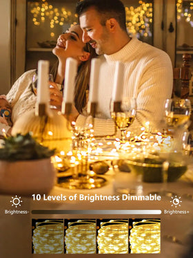 Albelt IP44 waterproof battery box keeps lights safe in rain or snow.