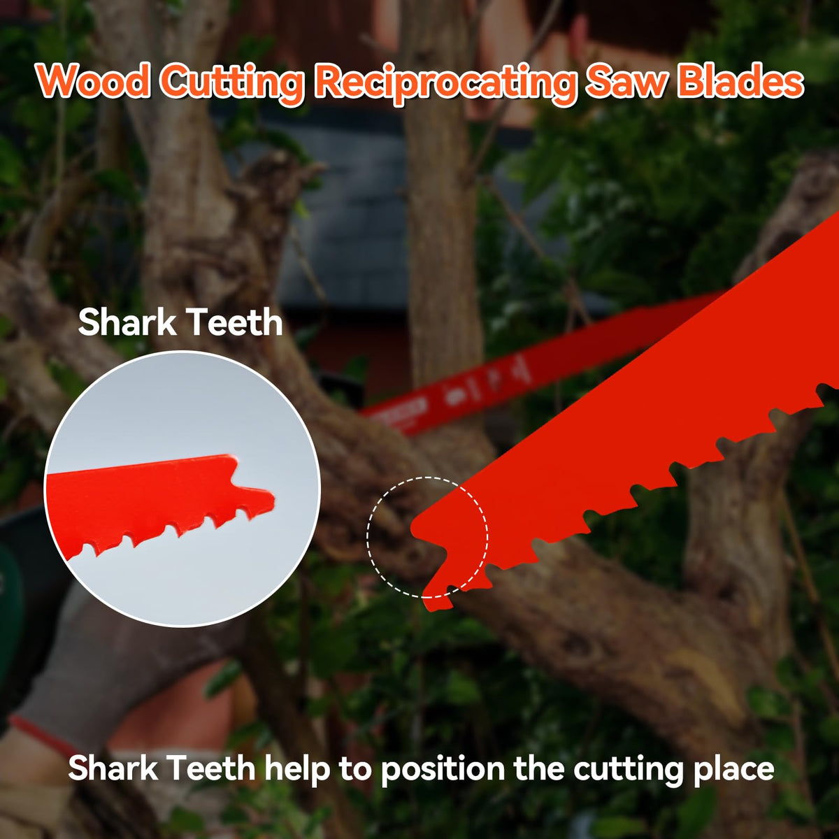 ALEXEX blades with non-stick coating reducing buildup for smoother progress.