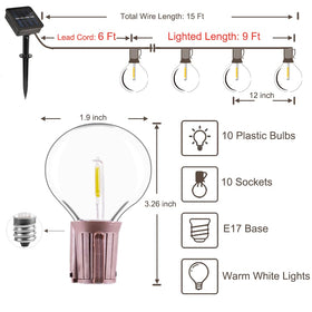 All Fortune 10 G50 bulbs provide warm white glow