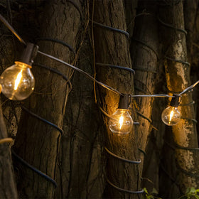 All Fortune 15 ft string length ideal for patios