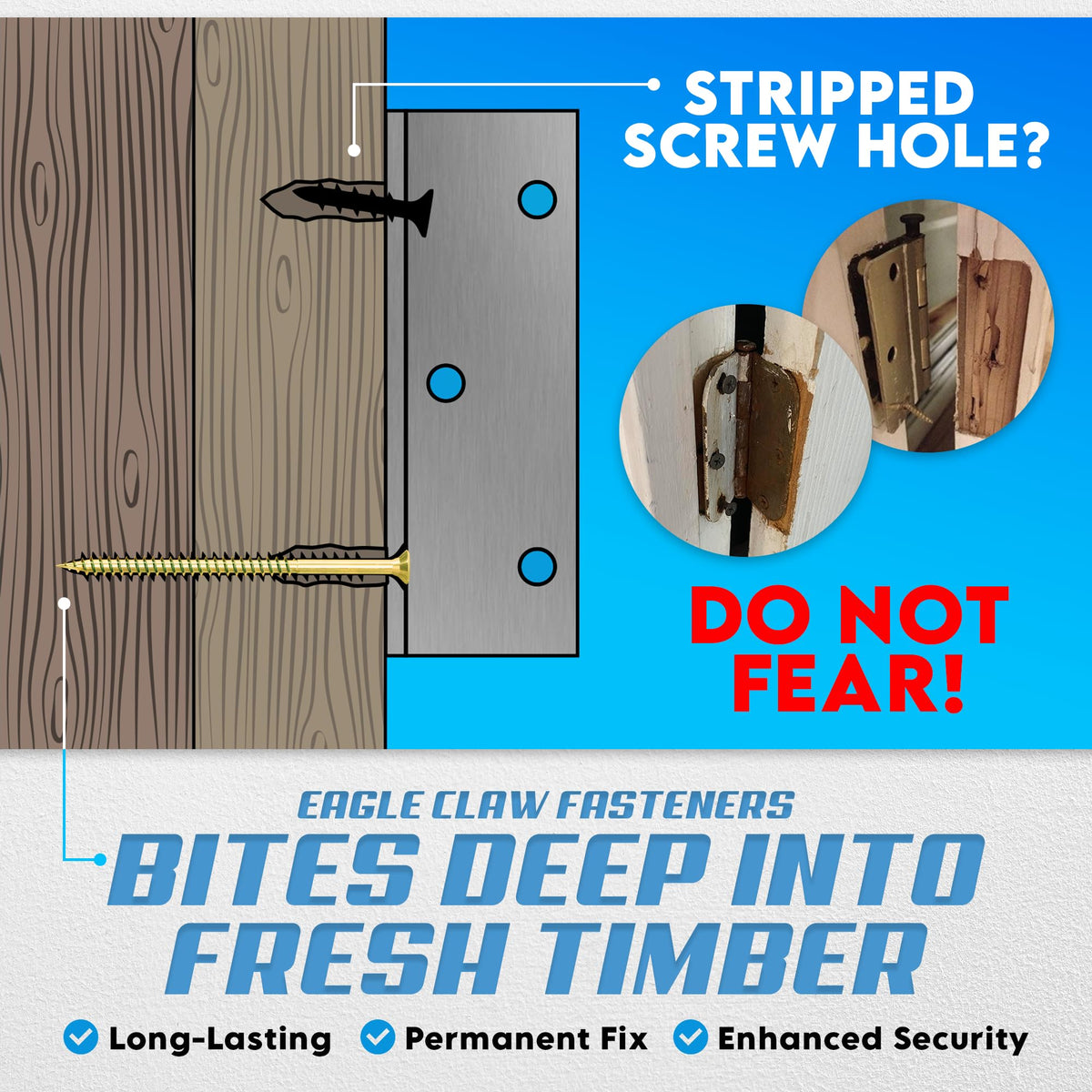 Allen's Trading Co. Eagle Claw 8x9-3in screws for deeper, stronger hinge fixes