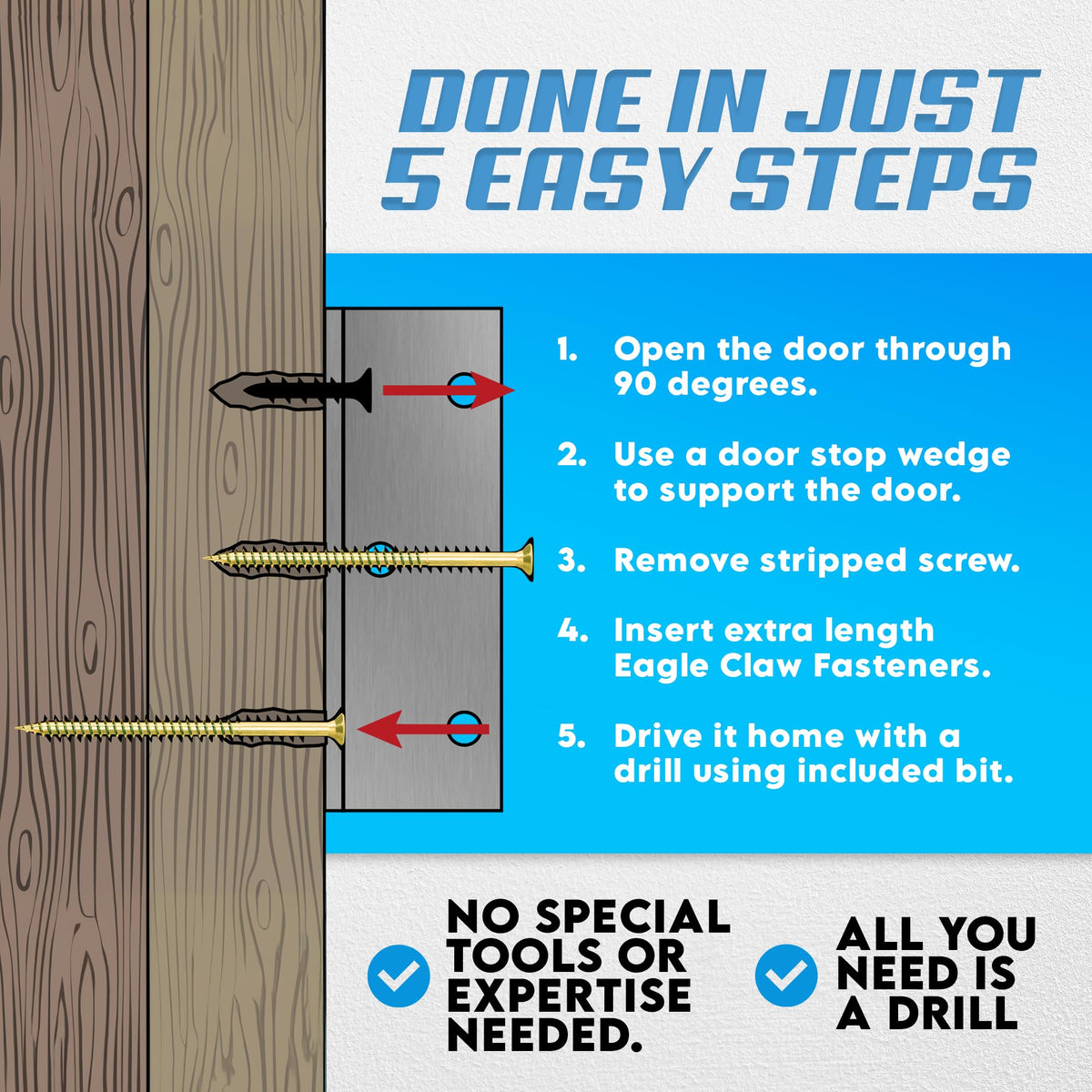 Allen's Trading Co. Eagle Claw No-Strip Torx screws close-up showing secure bite
