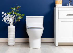 ALPHA BIDET iX Pure remote-control image highlights simple, age-friendly operation.