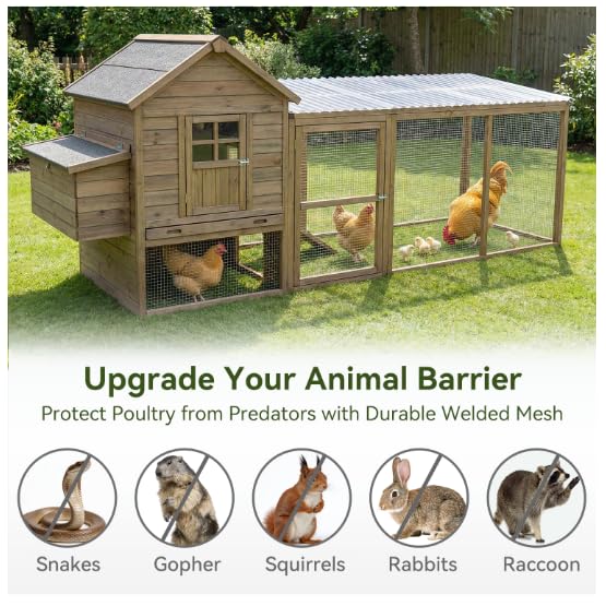 AMAGABELI Garden poultry-netting guards coops and rabbits in backyard farming.