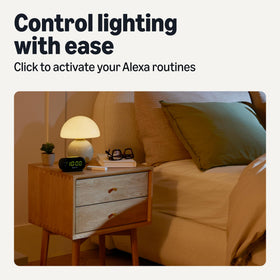 Amazon Basics app setup screen shows easy Alexa integration.
