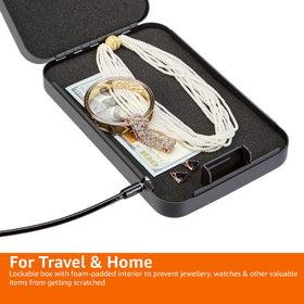 Amazon Basics portable security case with handle for easy travel.