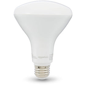 Amazon Basics BR30 LED bulb illuminated in a bright, daylight setting