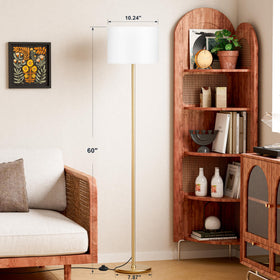 Ambimall 60-inch floor lamp with gold pole adds modern elegance.